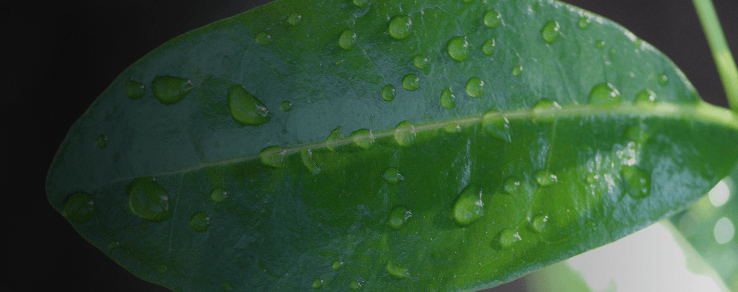 Environment background