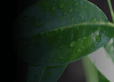 Environment background